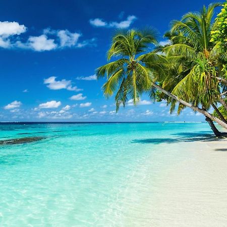 Equa Reef Maldives 호텔 아두아톨 외부 사진