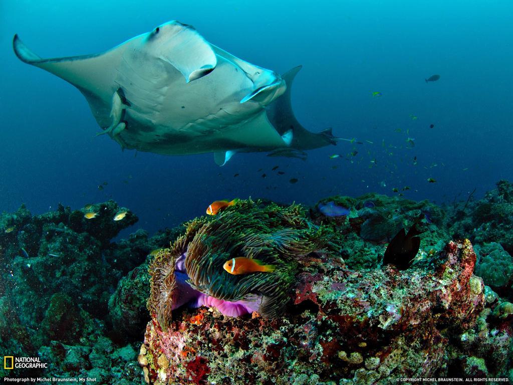 Equa Reef Maldives 호텔 아두아톨 외부 사진