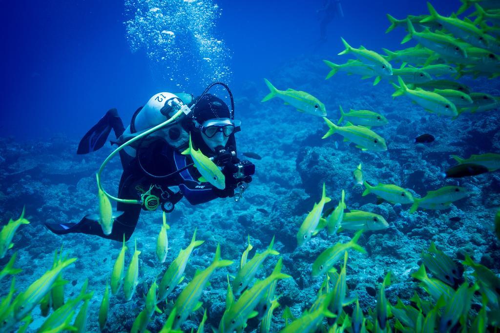 Equa Reef Maldives 호텔 아두아톨 외부 사진