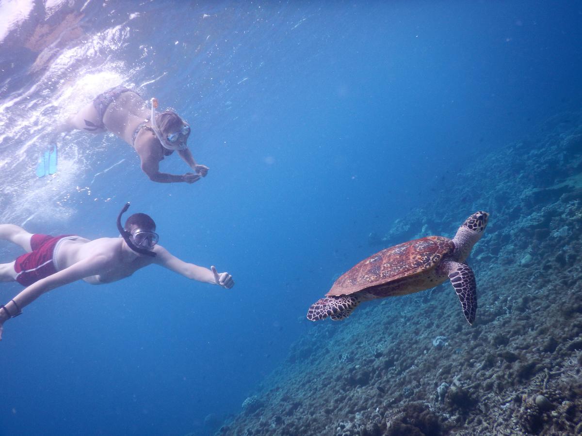 Equa Reef Maldives 호텔 아두아톨 외부 사진