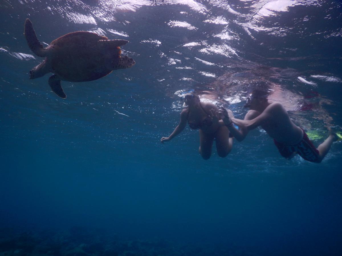 Equa Reef Maldives 호텔 아두아톨 외부 사진