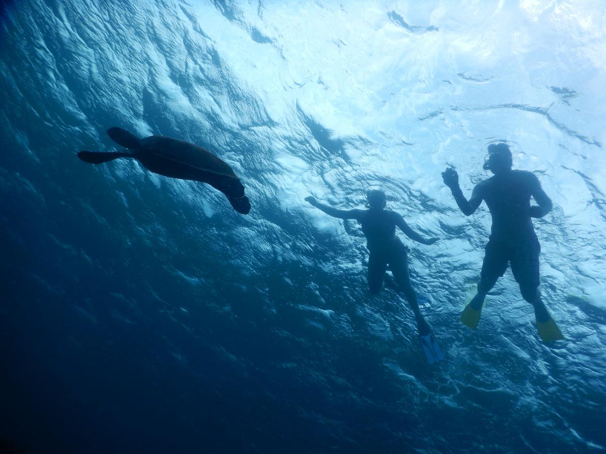 Equa Reef Maldives 호텔 아두아톨 외부 사진