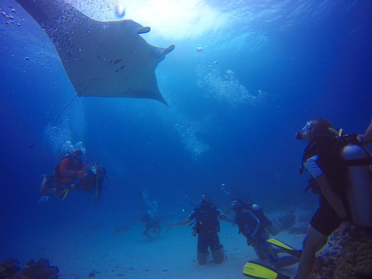 Equa Reef Maldives 호텔 아두아톨 외부 사진