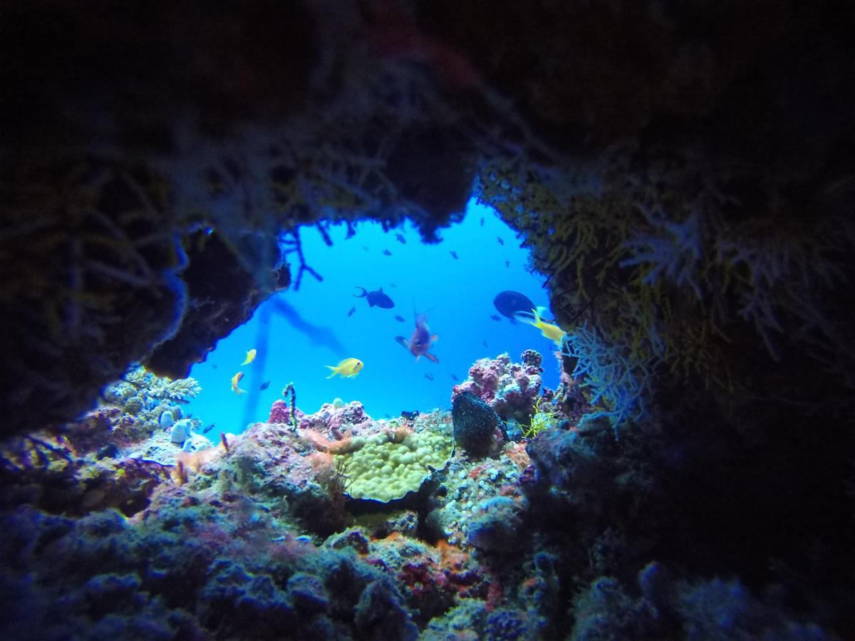 Equa Reef Maldives 호텔 아두아톨 외부 사진