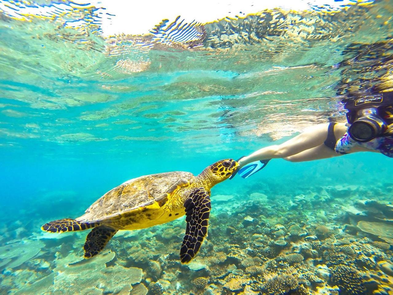 Equa Reef Maldives 호텔 아두아톨 외부 사진
