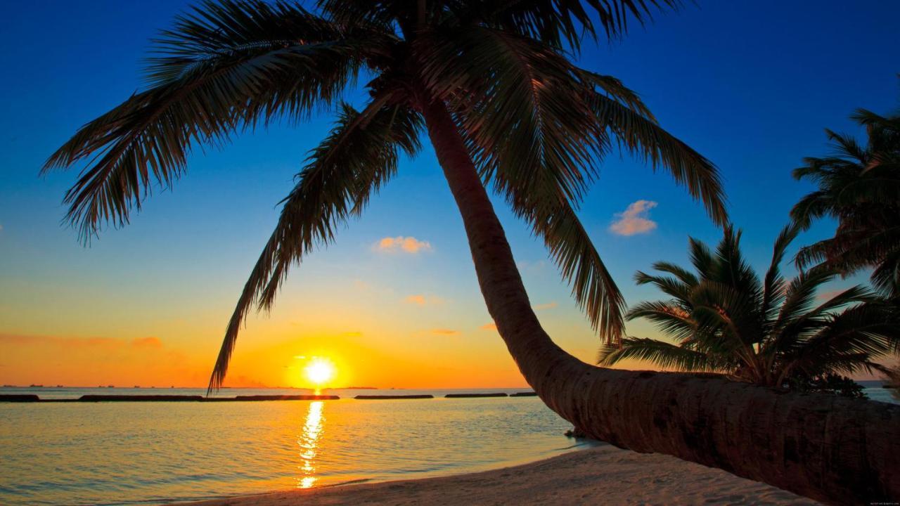 Equa Reef Maldives 호텔 아두아톨 외부 사진