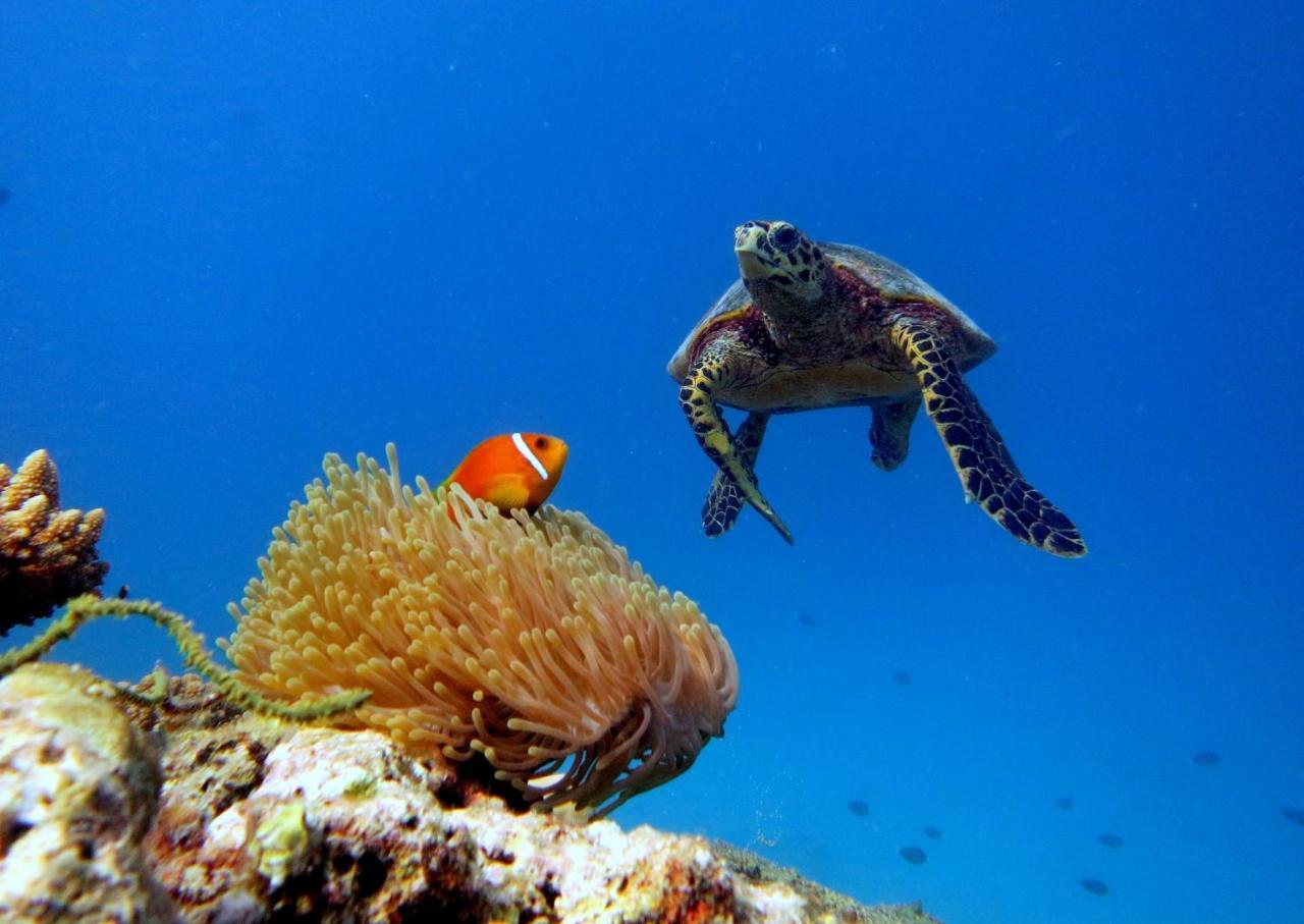 Equa Reef Maldives 호텔 아두아톨 외부 사진
