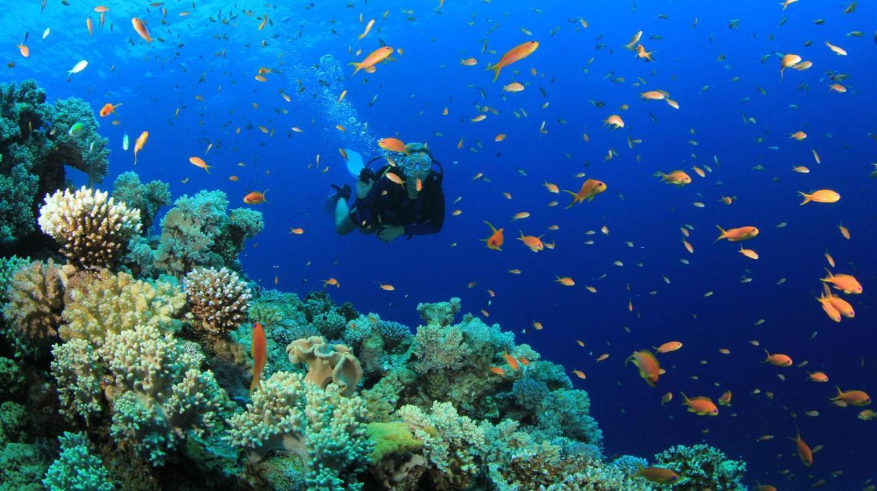 Equa Reef Maldives 호텔 아두아톨 외부 사진
