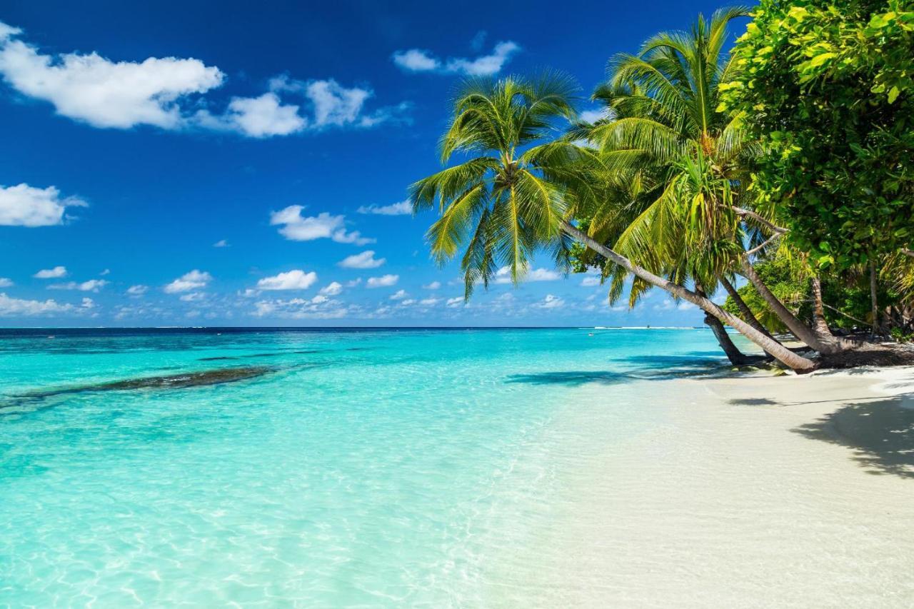 Equa Reef Maldives 호텔 아두아톨 외부 사진